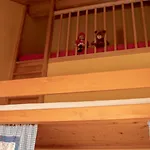 Bio Ferienbauernhof Greber - Natururlaub Mit Ponys & Kaninchen