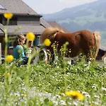 Bio Ferienbauernhof Greber - Natururlaub Mit Ponys & Kaninchen Çiftlik konaklama *