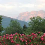 Bio Ferienbauernhof Greber - Natururlaub Mit Ponys & Kaninchen Çiftlik konaklama Schwarzenberg im Bregenzerwald
