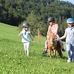 Bio Ferienbauernhof Greber - Natururlaub Mit Ponys & Kaninchen * Schwarzenberg im Bregenzerwald