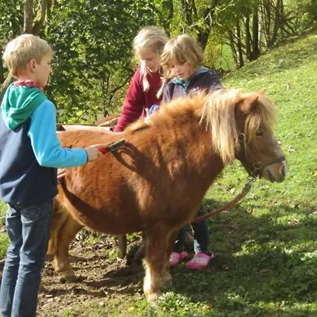 Bio Ferienbauernhof Greber Farm stay