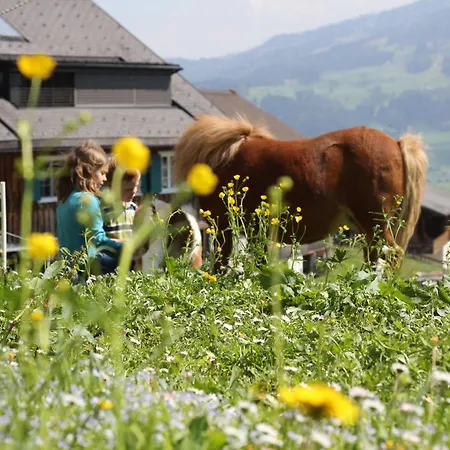 Bio Ferienbauernhof Greber - Natururlaub Mit Ponys & Kaninchen Feriegård *