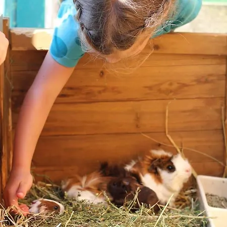 Farma Bio Ferienbauernhof Greber Schwarzenberg im Bregenzerwald