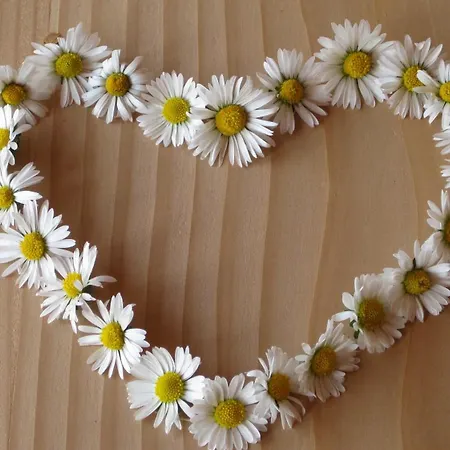 Bio Ferienbauernhof Greber Vakantieboerderij