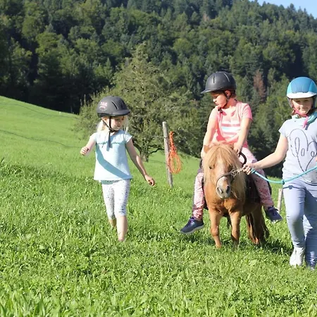 Bio Ferienbauernhof Greber - Natururlaub Mit Ponys & Kaninchen * Schwarzenberg im Bregenzerwald