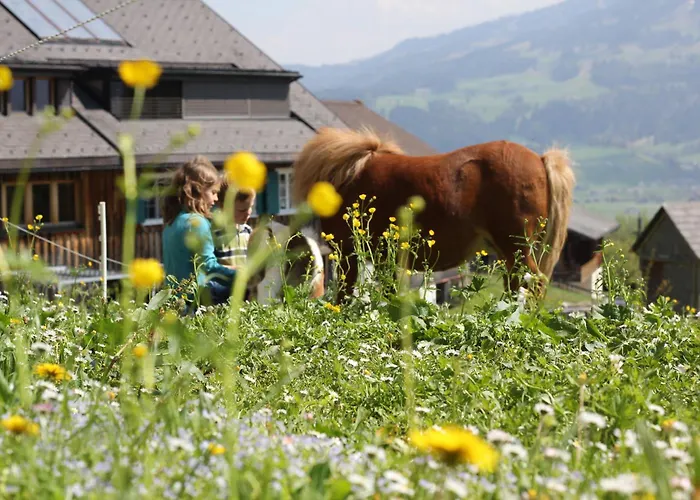 Bio Ferienbauernhof Greber Farm stay *