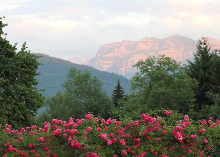 Bio Ferienbauernhof Greber Farm stay Schwarzenberg im Bregenzerwald