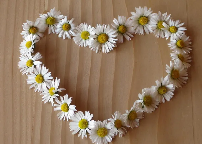 Bio Ferienbauernhof Greber Farm stay